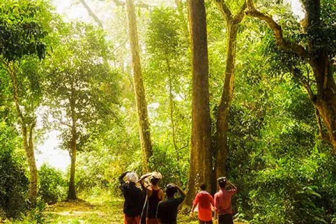  image of perur thodu (forest)