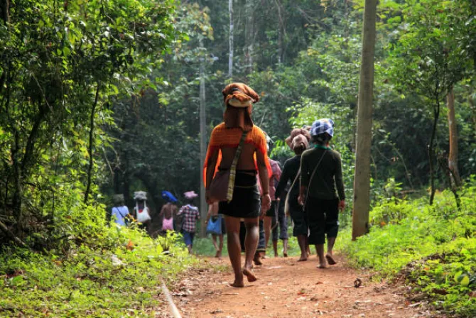 Image of Periyanavattam